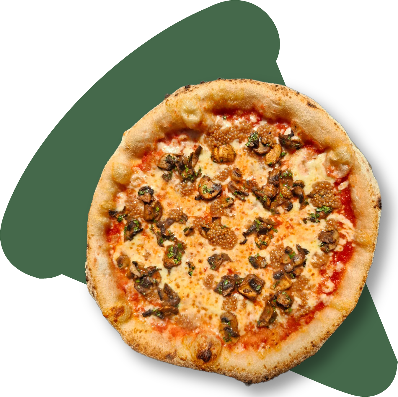 La Funghi Mostaza